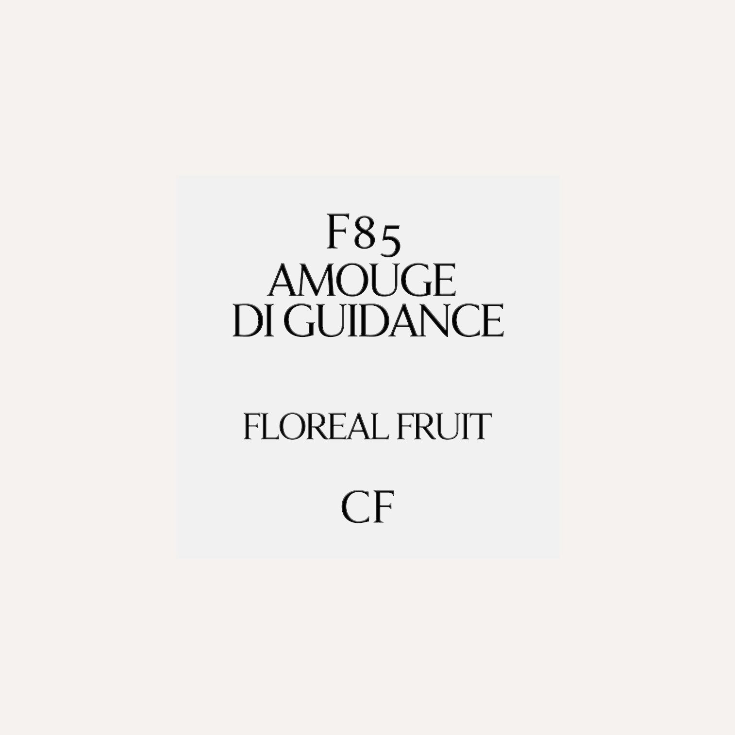 Guidance di Amouge- F85 - immagine 2